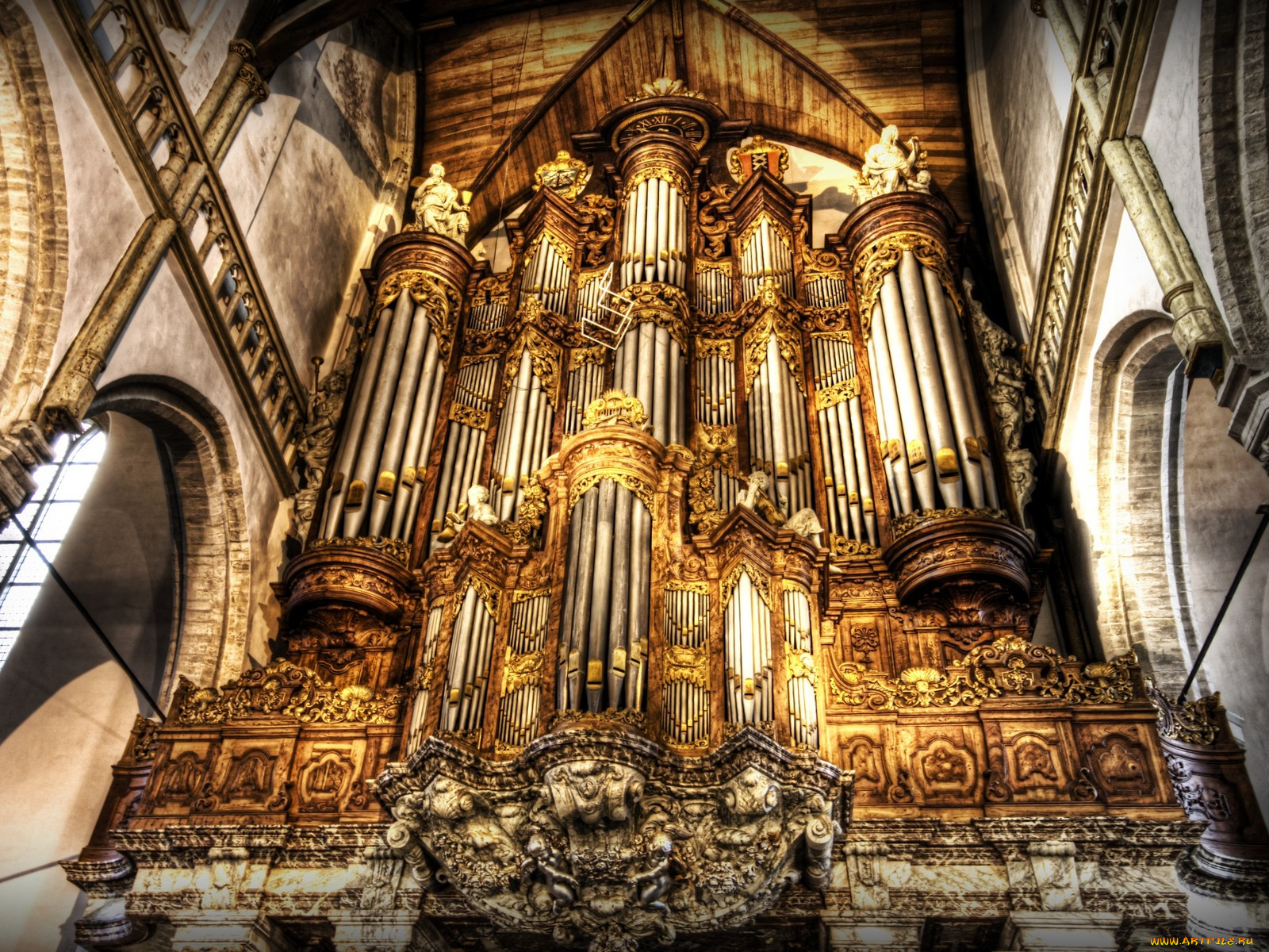 organ, , , , 